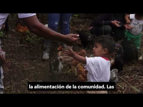 ENCUENTRO EN TERRITORIO  RISAS RAICES Y RECONOCIMIENTO CAMPESIONO NUEVO HORIZONTE CAJIBIO CAUCA