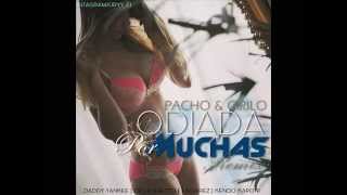 Odiada Por Muchas Remix Letra - Pacho Y Cirilo Ft. Kendo Kaponi, Daddy Yankee &amp; De La Ghetto