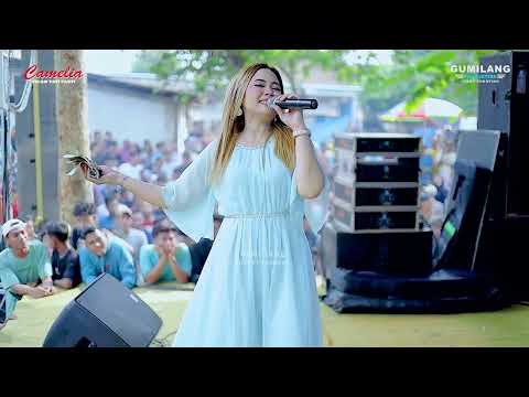 CAMELIA MUSIC - TERGUNCANG - EVA AQUILA - ANNIVERSARY CAHPOSINX - PENDEM KEMBANG JEPARA