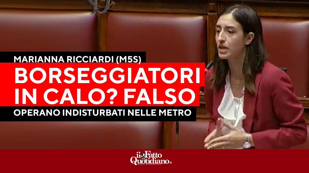 Marianna Ricciardi contro il governo: "Borseggiatori in calo? Falso, diminuiscono solo le denunce"