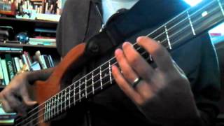 Bass cover - 