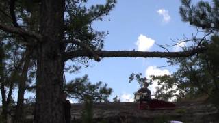 OMNI "Earrings" (Official Video)