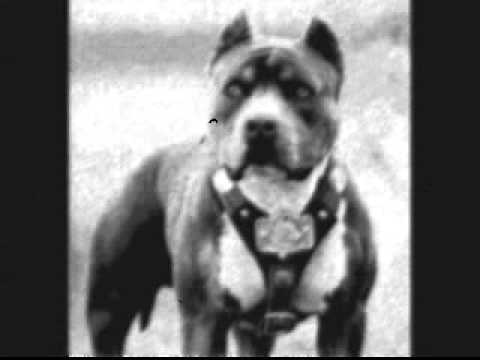 empty soul -hody jonez (gucci mane mouth full of gold remix)