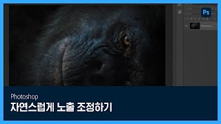 [포토샵] #22 자연스럽게 노출 조정하기