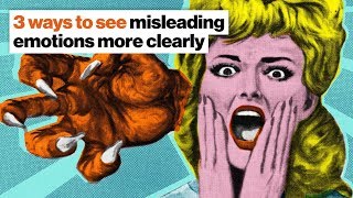 3 ways to see misleading emotions more clearly | Shane Parrish