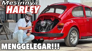 Download lagu VW Kodok bermesin Harley-Davidson mp3