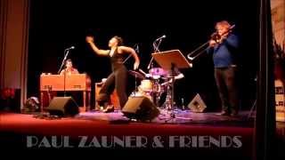 In the spirit of James Brown - Paul Zauner - Sexmachine