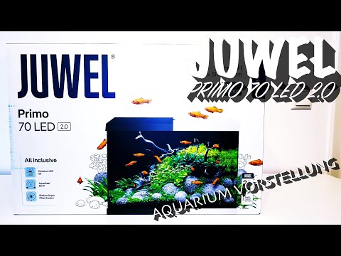 Juwel Primo 70 LED 2.0 - Aquarium Vorstellung
