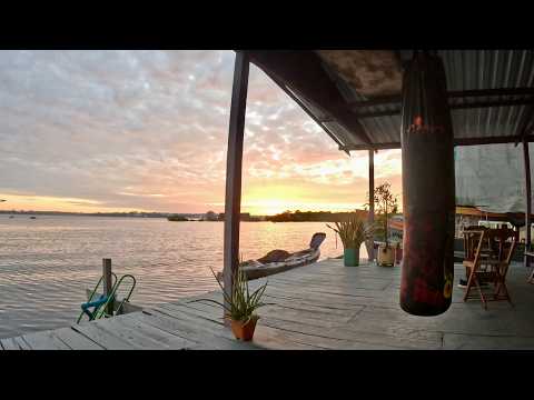 Mitten im Amazonas 🛶🇧🇷 Großstadtdschungel Manaus | 81∞