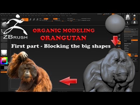 Organic Modeling - ORANGUTAN Part 1 Zbrush 4R7