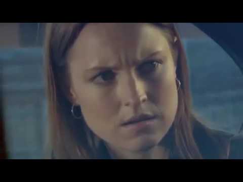 Blue Heelers - 11x30 Pillow Talk