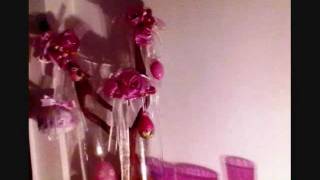 INTERPOL THE UNDOING