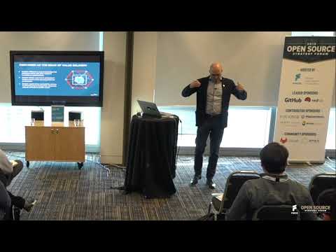 Supporting Innovation and Stability in FSI Solutions Development with Open Source Platforms