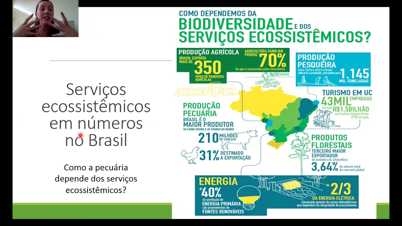 Serviço Ecossistêmico e Pagamento por serviços ambientais