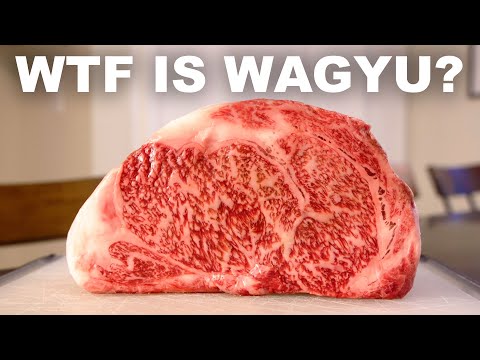 Wagyu Beef: Why It Tastes Different & Why It’s SO Pricey