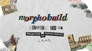 MorphoBuild eps.06 – Mangroves in Carbon Action