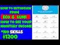 How To Withdraw From Eco 6 Lumi Withdraw From Swifin To Bank Make Money Online
