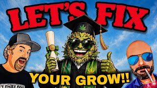 The Most Asked Cannabis Growing Questions of 2026
