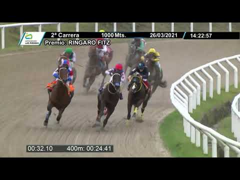 210326 c02 - NEVER LOSE - HIPODROMO LAS PIEDRAS