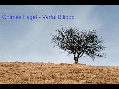 Ghimes Faget Varful Biliboc 26.01.2025