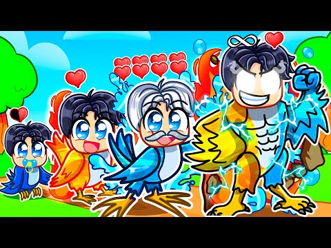 BIRTH TO ELEMENTAL BIRD In Roblox Feather Family