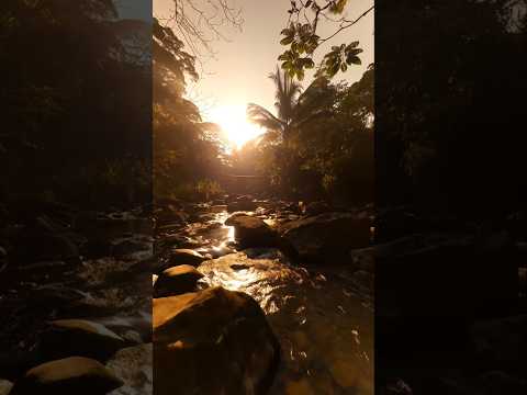 🌴 El rincón escondido de San Marcos que tienes que conocer