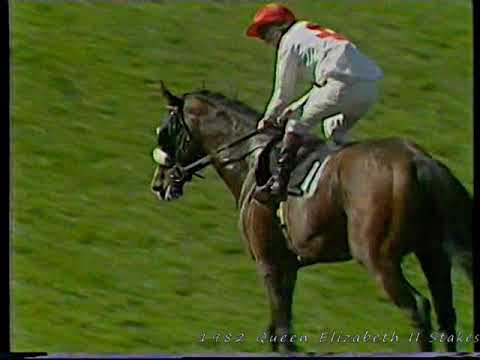 1982 Queen Elizabeth II Stakes Buzzards Bay Inc Replay & Enclosure