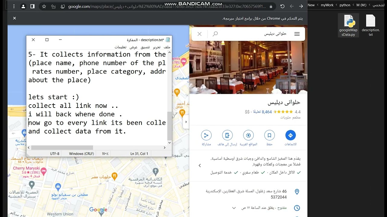web scraping | Python program that collects data from Google Maps with a specific keyword