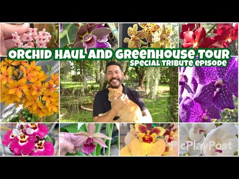 A mini orchid haul and a tour around the garden and greenhouse. Amazing new blooms!