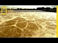 Where Does Your Sewage Go I Didn T Know That