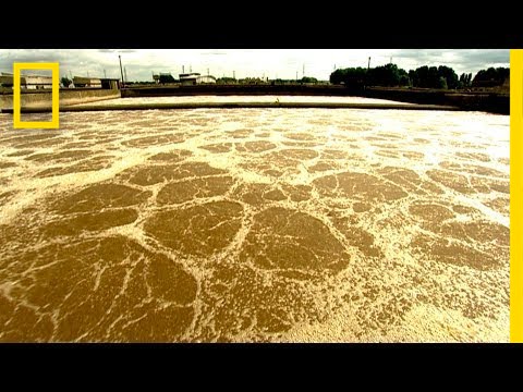 Where Does Your Sewage Go? | I Didn't Know That