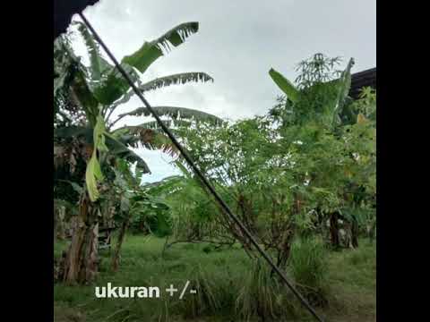 Tanah Jalan Jakarta, Ulak Karang Selatan , Padang utara