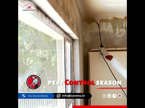 Fumigation pest control services