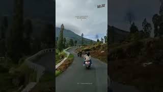 Download lagu story' wa || elsa pitaloka coba kau ingat ingat kembali mp3