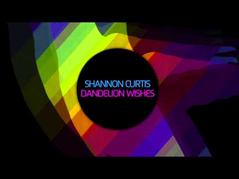 Shannon Curtis - Dandelion Wishes