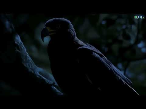 Falköga Tech Hub - Anslut dig till den digitala revolutionen medoss på Falköga Tech Hub AB!