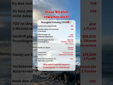 Diese Strafen erwarten dich! Bußgeldkatalog 2024 🚨💸 #bußgeld #strafe #führerschein #auto #2024