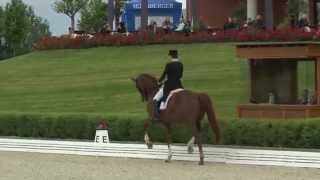 Une nouvelle monture pour Alexander Helgstrand / New horse for Alexander Helgstrand