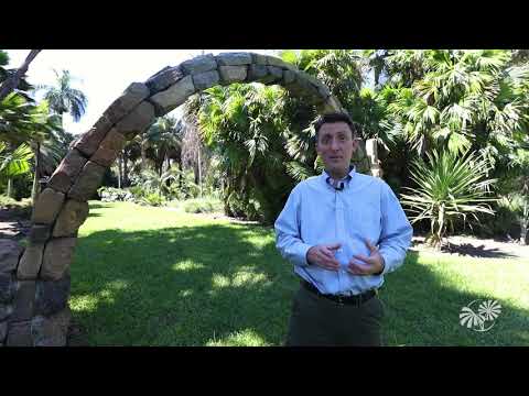 The Montgomery Palmetum and Palm Collection