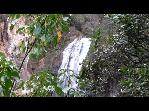 Miniatura de Constanza