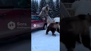 Sasquatch vs Bear 🚸🦍(driveway drag off route 67 beef) #funny #comedy