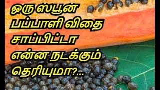 Download lagu Benefits of Papaya Seeds in Tamil Pappali Vithai H... mp3