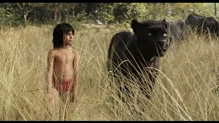 The Jungle Book (2016) Video