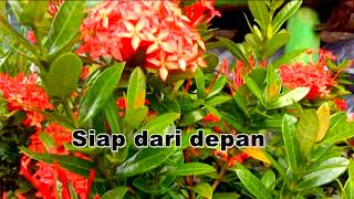 Download lagu ABANG BECAK. Bimbo.  karaoke nada Pria. mp3