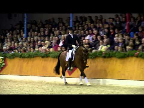 Antango *2009 by Ampère - Jazz (Stallion Show Sosath 2015)