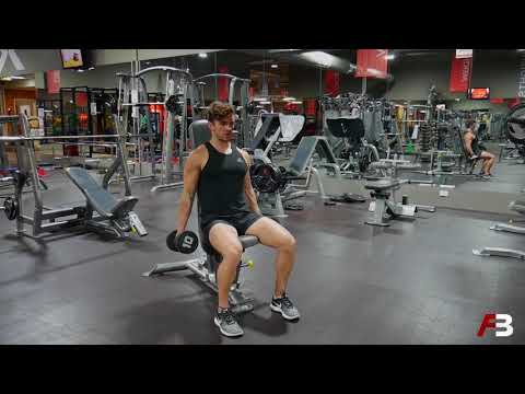 Seated Alternating Dumbbell Hammer Curl