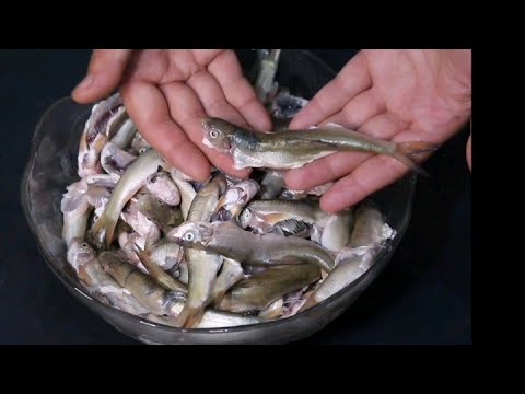 Fish masala fry. Fish recipe. Swat fish recipe.