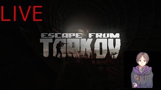[EFT]今人気のタルコフやっていく/ネルソン