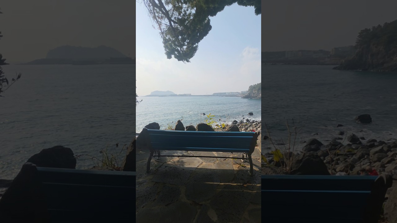 떠나요 제주도.Let’s head off to Jeju Island.चलो जेजू द्वीप चलते हैं.#제주여행