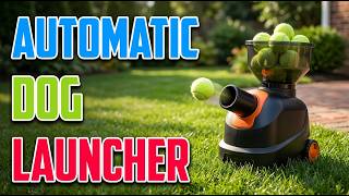 TOP 5 Best Automatic Dog Ball Launchers 2026